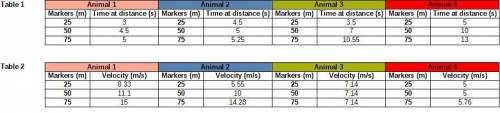 The table below shows data of sprints of animals that traveled 75 meters. at each distance marker, t