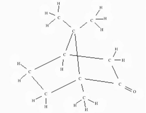 What is the structural diagram for camphor?