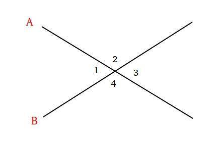 Determine which characteristics are true of vertical angles.