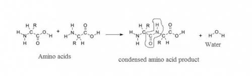 Look at the following chemical reaction. (picture below)  which could describe the chemical reaction