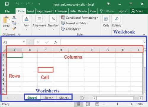 Explaing the following terms for a reader who is not familiar with excel:  worksheet,workbook, cell,
