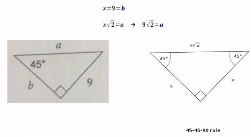 Ican’t find the missing side length for this special right triangle, could someone  me ?