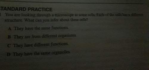 You are looking through a microscope at some cells.each of the cells have a different structure. wha