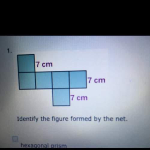 Identify the figure formed by the net.