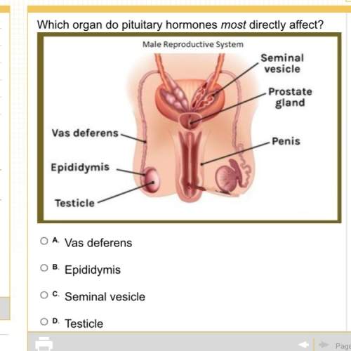 Which organ do pituitary horomones most directly affect