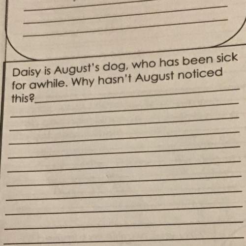 Daisy is august’s dog,who has been sick for awhile.why hasn’t august noticed this.