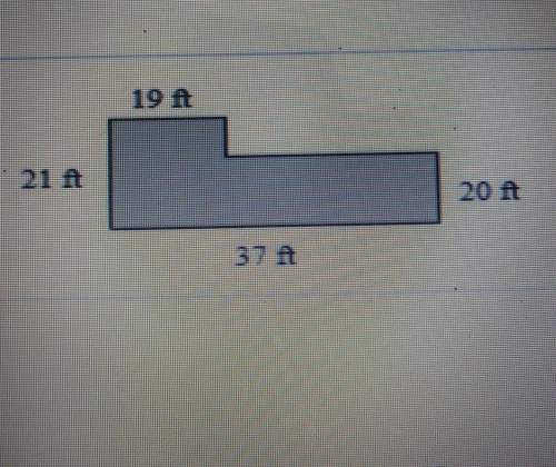 What is the perimeter of this picture. need answer badly.