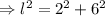 \Rightarrow l^2=2^2+6^2