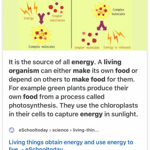 How do living things get energy from food ?