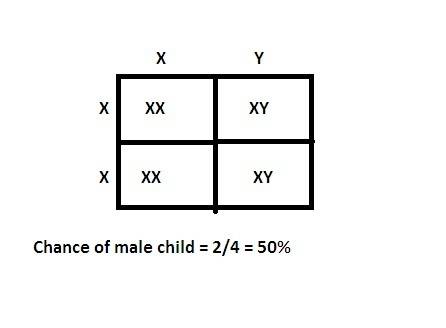 Consider the genetic cross for sex in humans. xx is female and xy is male. a family has 4 children,