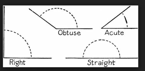 Which term best describes the angle below?  a is wrong. the correct answer is d. acute