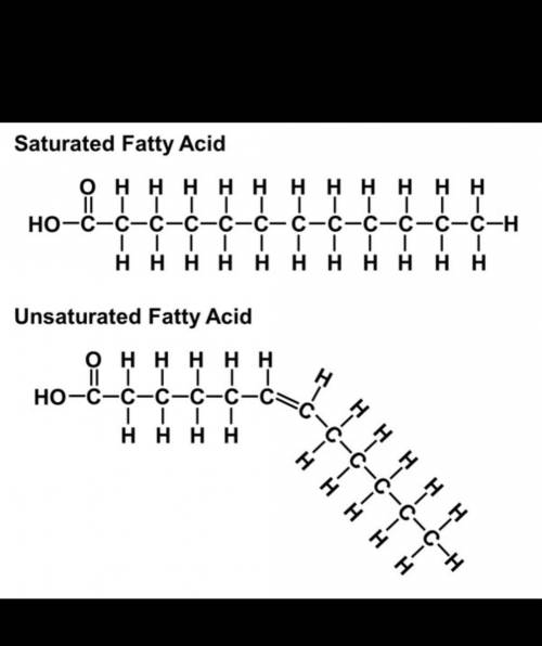 Which of the following is the best definition of a saturated fatty acid?  a. an insoluble compound m