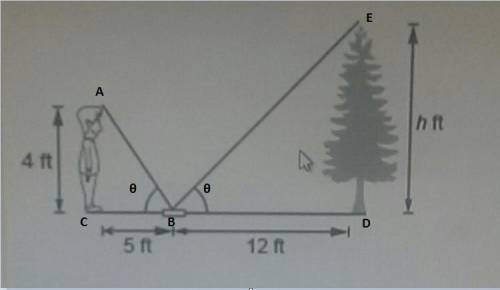the figure shows a child estimating the height of a tree by looking at the top of the tree with a mi