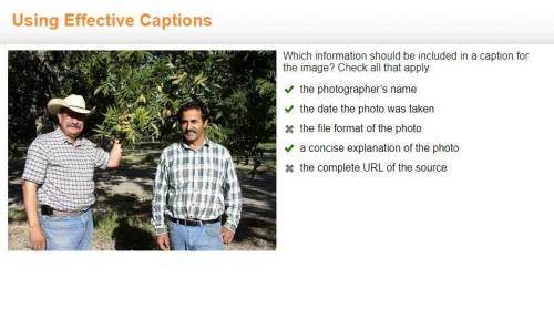 Which information should be included in a caption for the image?   check all that apply. a) the phot