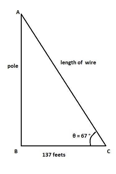 Aguy-wire is attached to a pole for support. if the angle of elevation to the pole is 67° and the wi