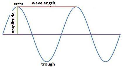 The two main parts of a wave are the a. swell and whitecap. c. crest and trough. b. wavelength and w