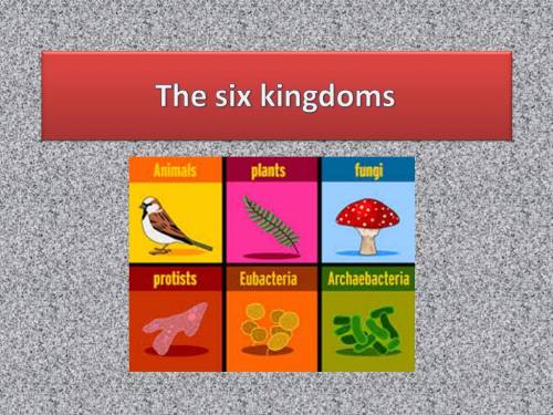 Which characteristics are used to differentiate between the six kingdoms?