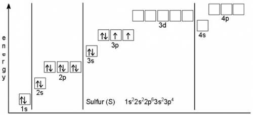 What is the orbital notation for sulfur?