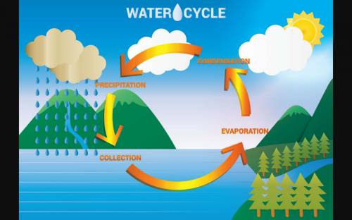 What are the 6 steps of the water cycle in order