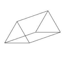 Atriangular prism was sliced parallel to its base. what is the shape of the cross section shown in t
