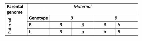 Analysis (3 points each) answer in complete sentences. what is meant by expected genotypes?  the mat