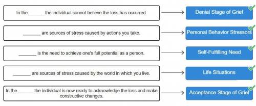 Match the following terms with the correct definition. personal behavior stressors life situations a