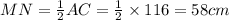 MN=\frac{1}{2}AC=\frac{1}{2}\times 116=58 cm