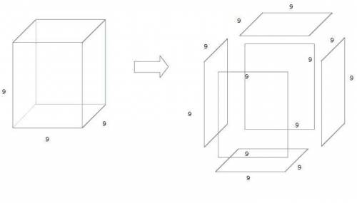 Which of the following is the surface area of a cube with a side length of 9cm