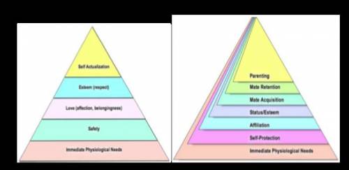 As part of his honor’s thesis, braydon develops a survey to evaluate the update of maslow’s hierarch
