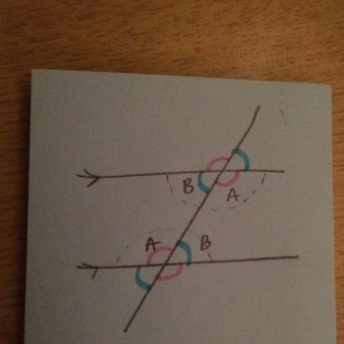 What can you conclude about the interior angles formed when two parrallel lines are cut by a transve