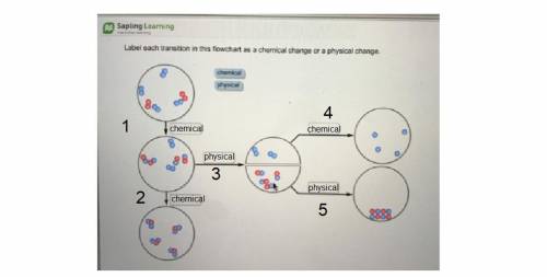 Label each transition in this flow chart as a chemical change or a physical change