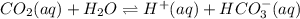 CO_{2}(aq) + H_{2}O \rightleftharpoons H^{+}(aq) + HCO^{-}_{3}(aq)