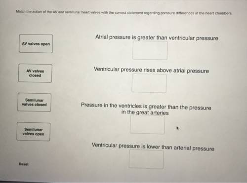 Match the action of the av and semilunar heart valves with the correct statement regarding pressure