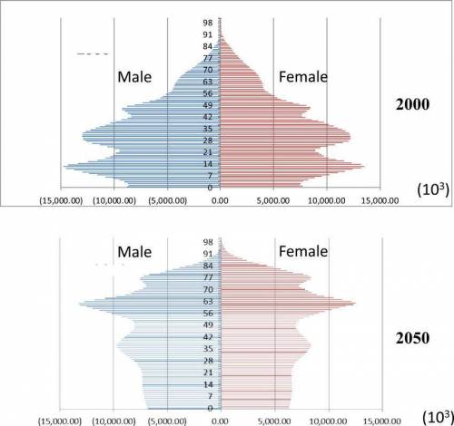 According to the population pyramid, in 2000 china had about 120 million people in which age-group?