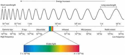 Explain the electromagnetic spectrum. give examples