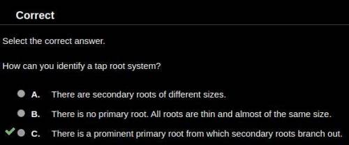 How can you identify a tap root system