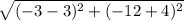 \sqrt{(-3 - 3)^{2} + (-12 +4)^{2} }