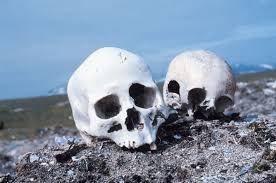 Although they share many of the same methods, forensic anthropologists often analyze the skeletal re