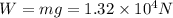 W=mg=1.32\times 10^4 N