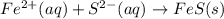 Fe^{2+}(aq)+S^{2-}(aq)\rightarrow FeS(s)