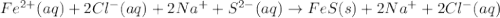 Fe^{2+}(aq)+2Cl^{-}(aq)+2Na^++S^{2-}(aq)\rightarrow FeS(s)+2Na^++2Cl^{-}(aq)
