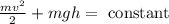 \frac{m v^{2}}{2}+m g h=\text { constant }
