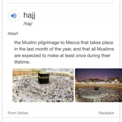 Someone   i need an !   i will give  and brainliest question describe the hajj