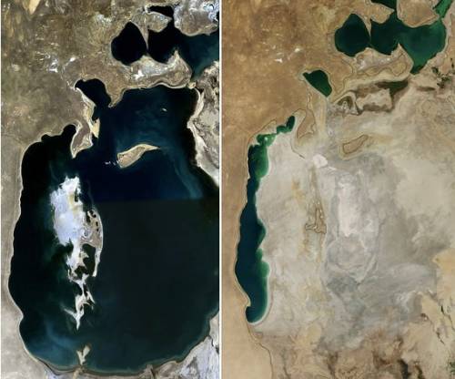 River waters that feed the aral sea in asia were diverted for irrigation. which of the following eve
