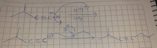 Draw the structure of the starting material needed to make 2-methylhept-3-yne using sodium amide in