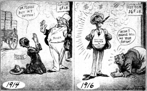 Between 1914 and 1916, which factor  bring about the change in the financial position of the cotton