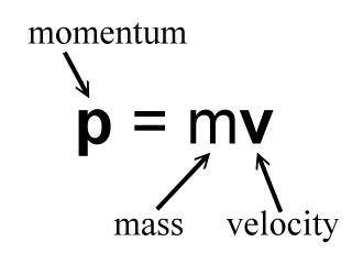 What type of relationship exists between momentum and mass