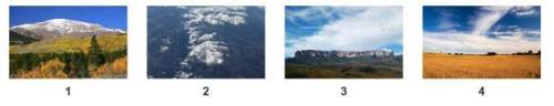 These images show types of landforms.which image shows a plain?