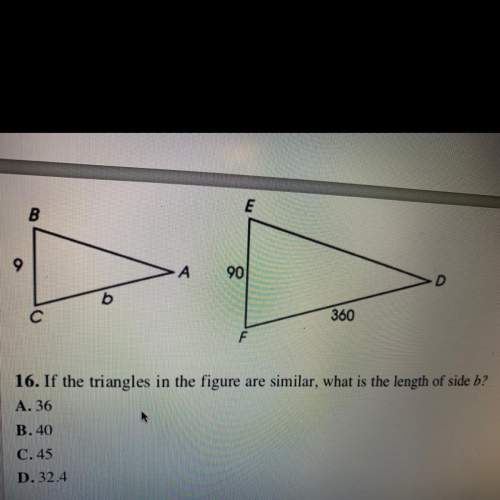 If the triangles in the figure are similar what is the length of side b?