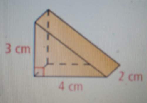 Can someone me with this question.sorry for the quality but you have to find the surface area of t